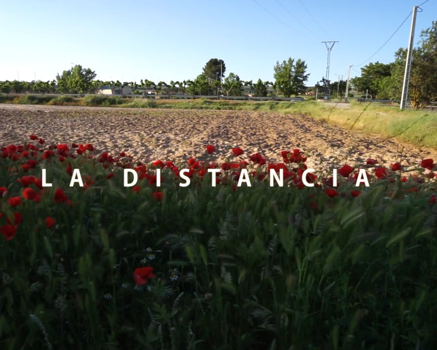 reportajes de video bodas valencia_la distancia
