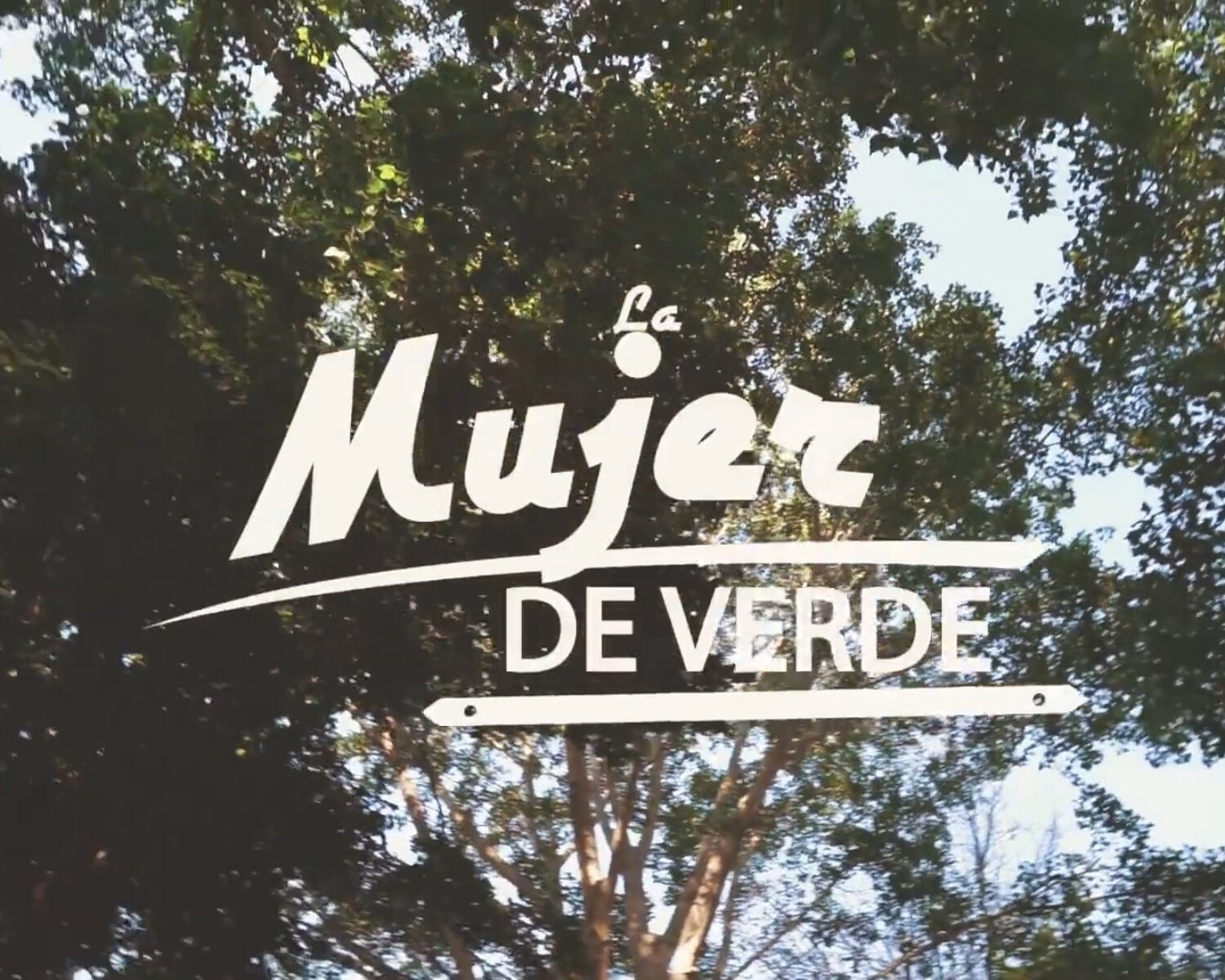 videos boda valencia la mujer de verde